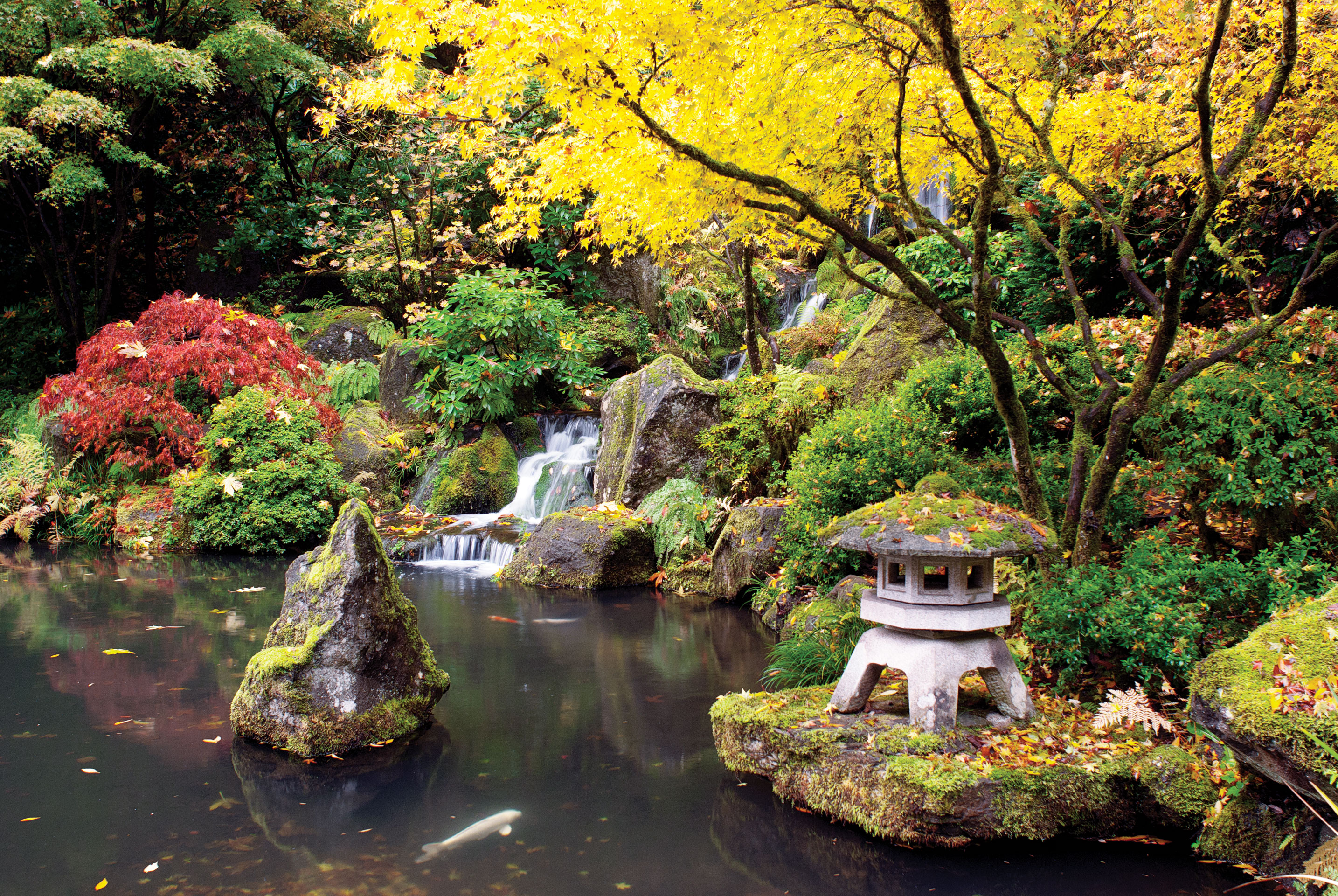 Portland Japanese Garden 